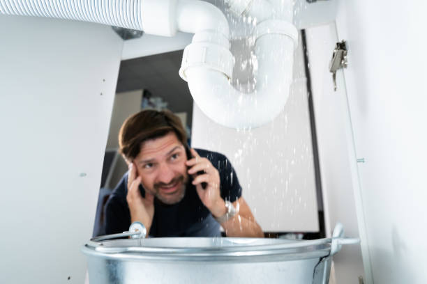 Best Toilet Repair Services  in De Motte, IN