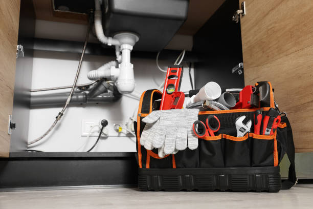 Best Local Plumber Services  in De Motte, IN
