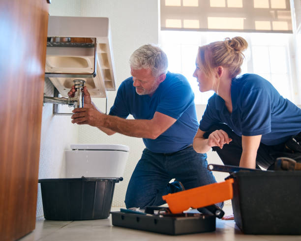 Best Commercial Plumbing Services  in De Motte, IN